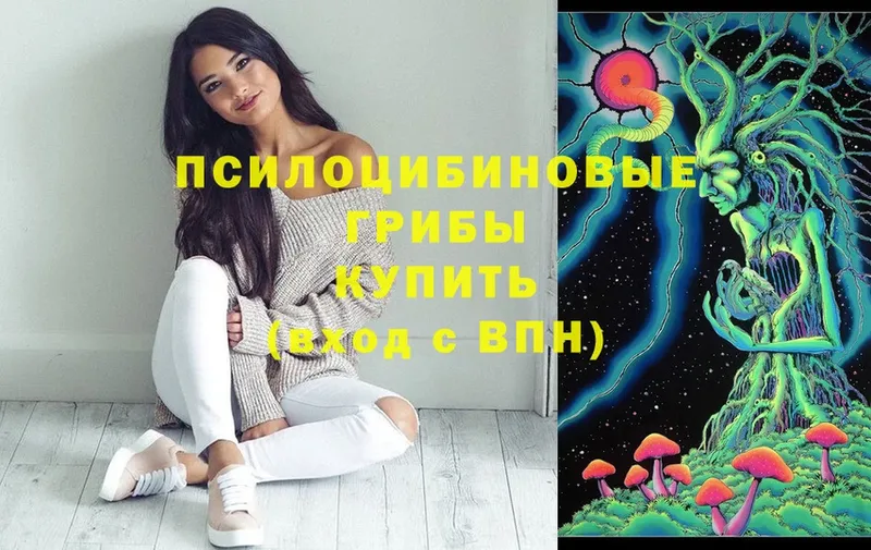 Псилоцибиновые грибы Psilocybe  площадка состав  Уссурийск 